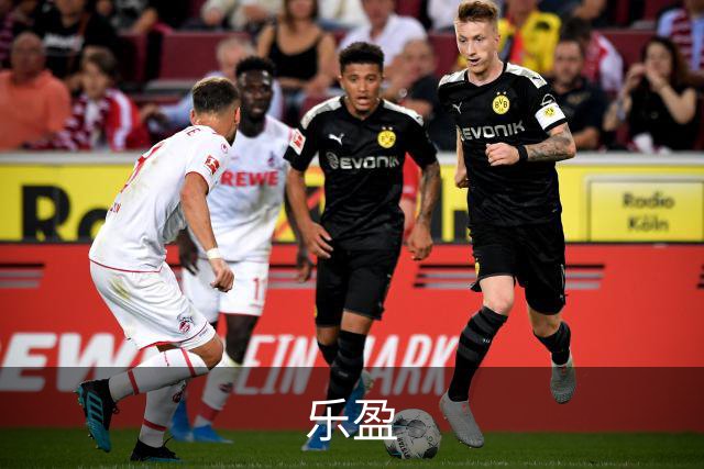 乐盈 公司简介